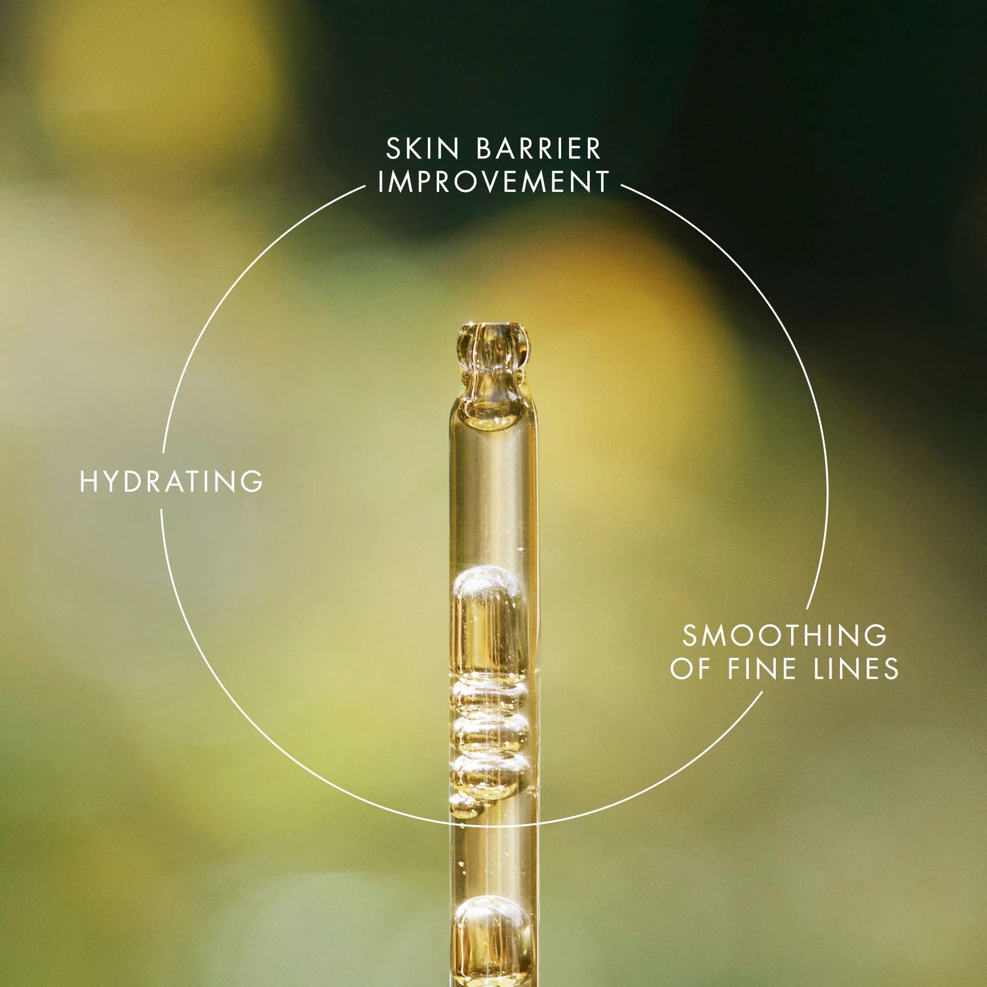 Renewal Treatment Oil - Image 5