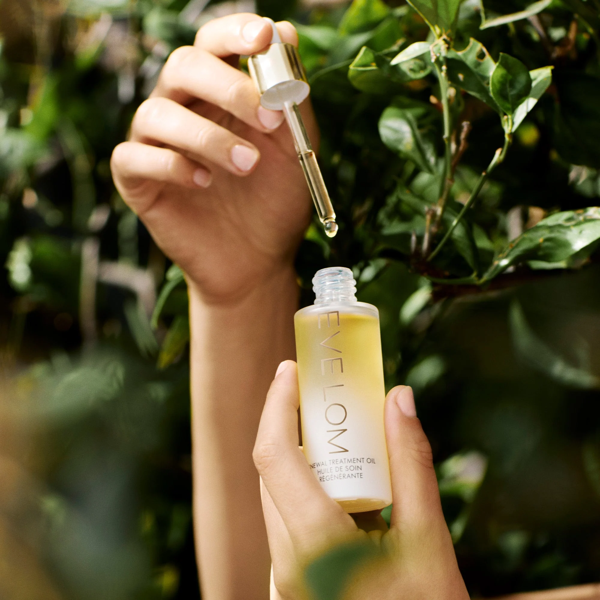 Renewal Treatment Oil - Image 6